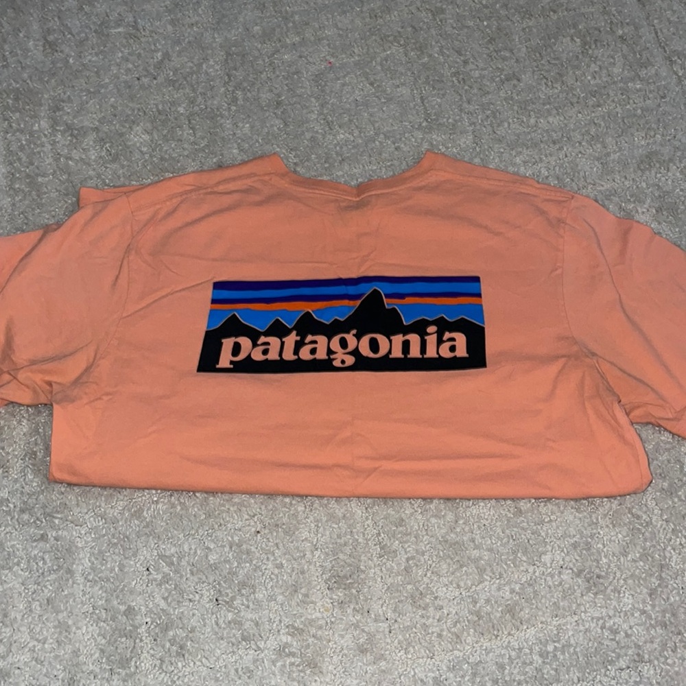 Patagonia t-shirt super soft.